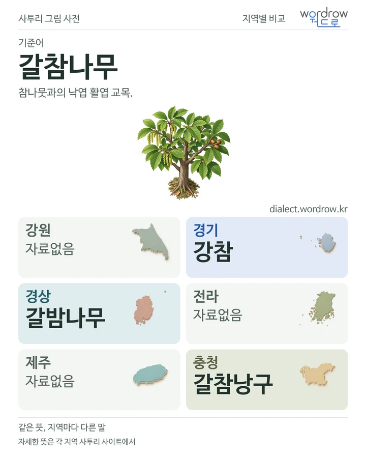 갈참나무의 여섯 지역 사투리 비교