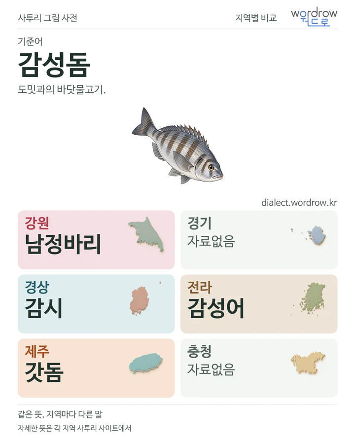 감성돔의 여섯 지역 사투리 비교