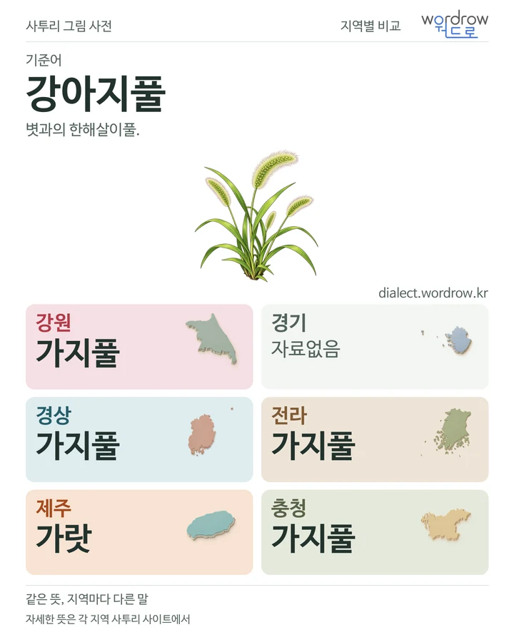 강아지풀의 여섯 지역 사투리 비교