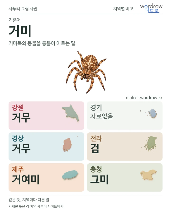 거미의 여섯 지역 사투리 비교