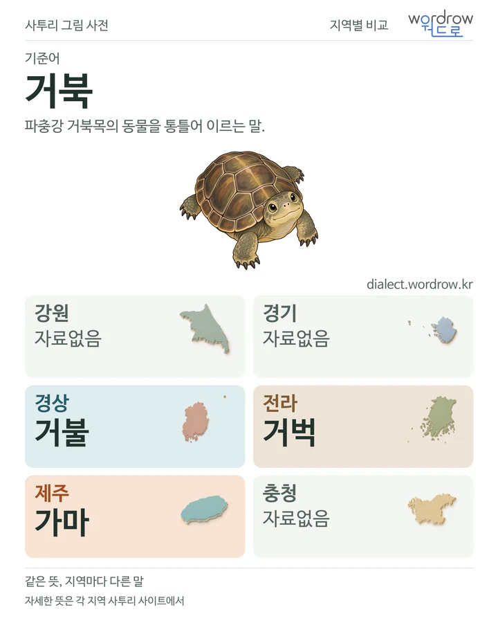 거북의 여섯 지역 사투리 비교