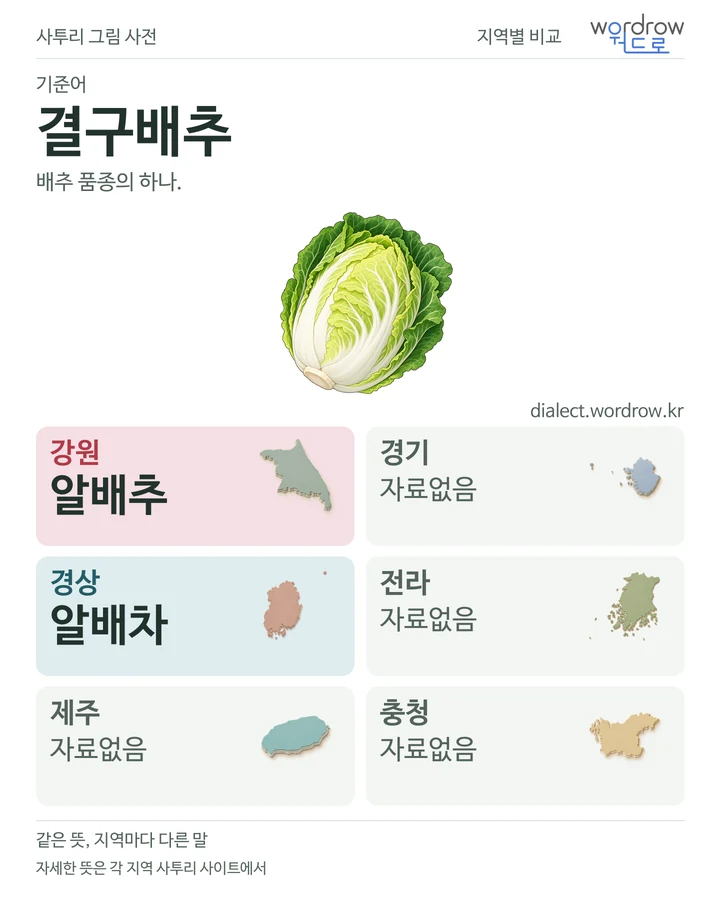 결구배추의 여섯 지역 사투리 비교