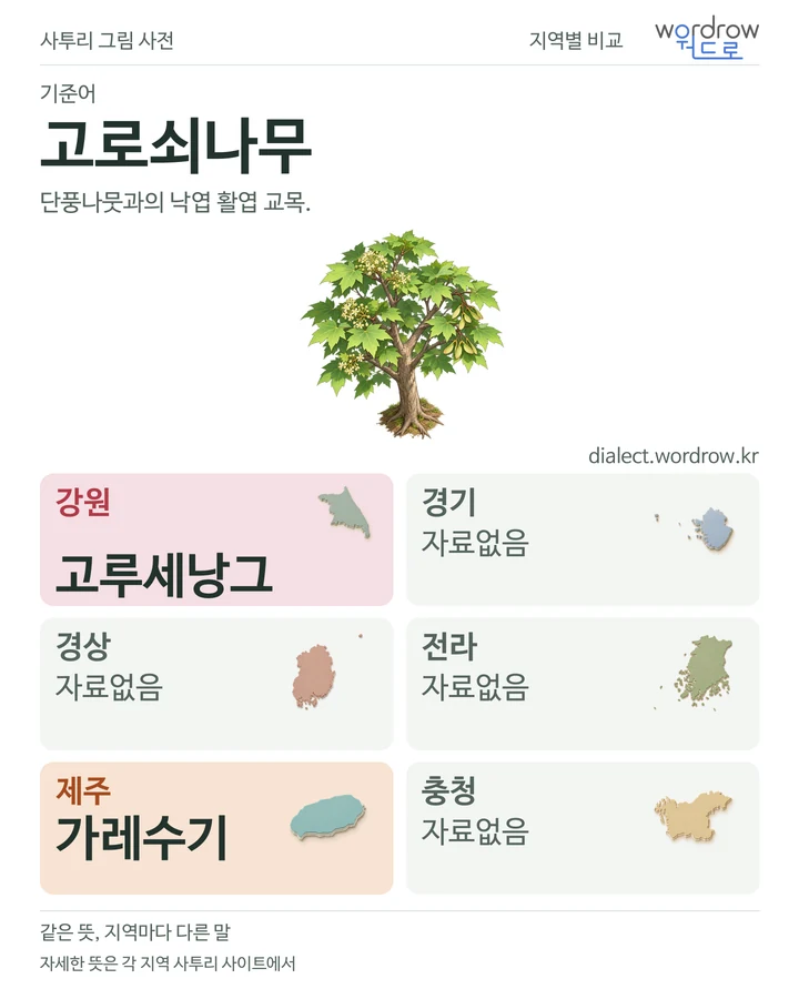 고로쇠나무의 여섯 지역 사투리 비교
