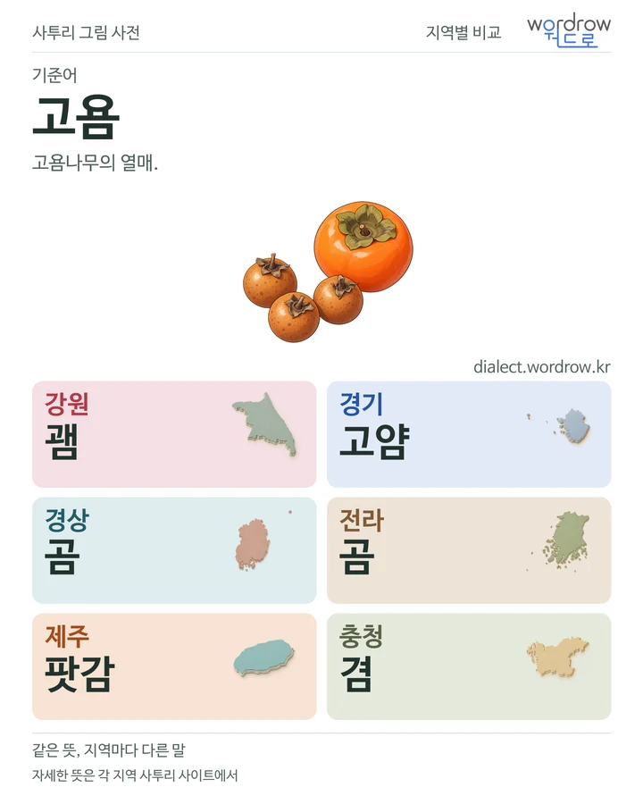 고욤의 여섯 지역 사투리 비교
