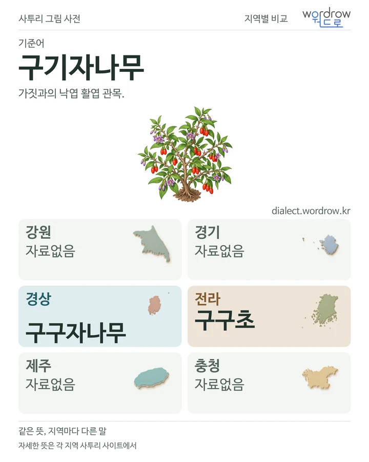 구기자나무의 여섯 지역 사투리 비교