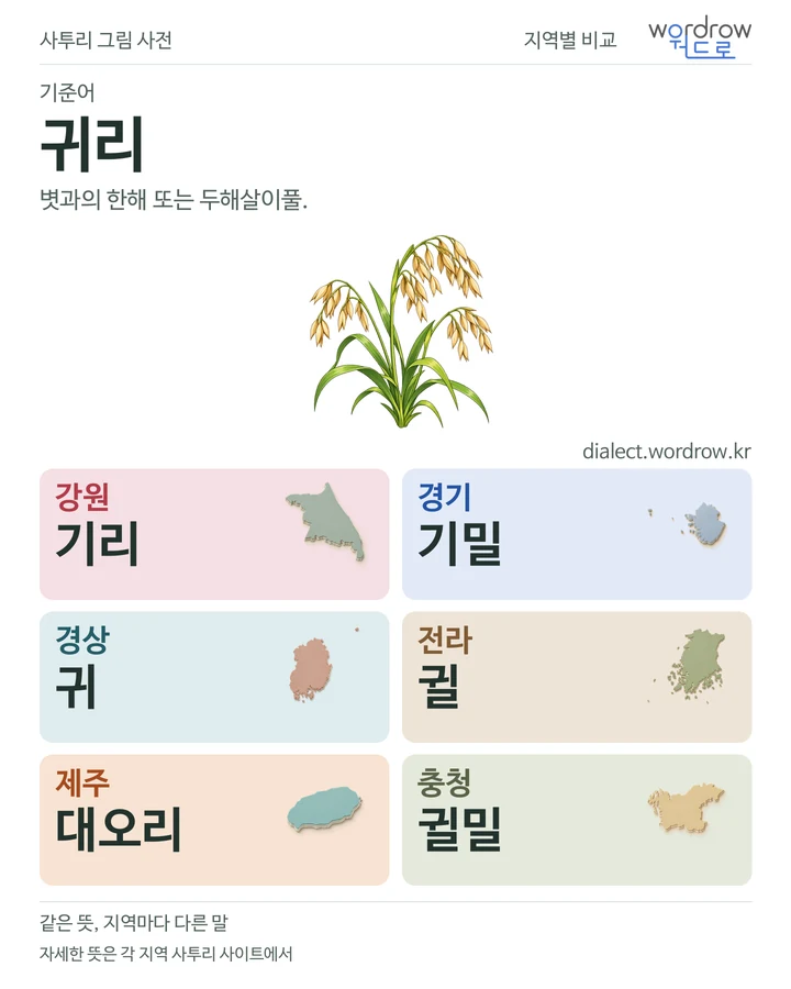 귀리의 여섯 지역 사투리 비교