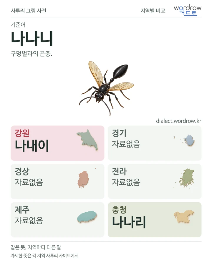나나니의 여섯 지역 사투리 비교