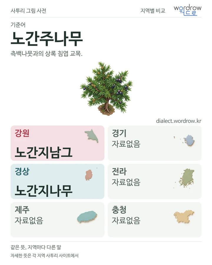 노간주나무의 여섯 지역 사투리 비교