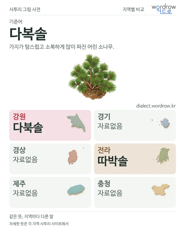 다복솔의 여섯 지역 사투리 비교