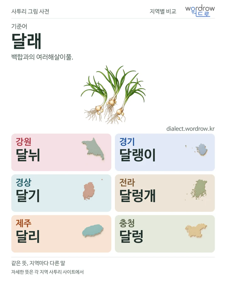 달래의 여섯 지역 사투리 비교
