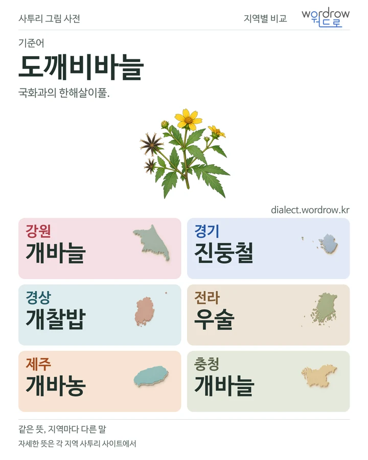 도깨비바늘의 여섯 지역 사투리 비교