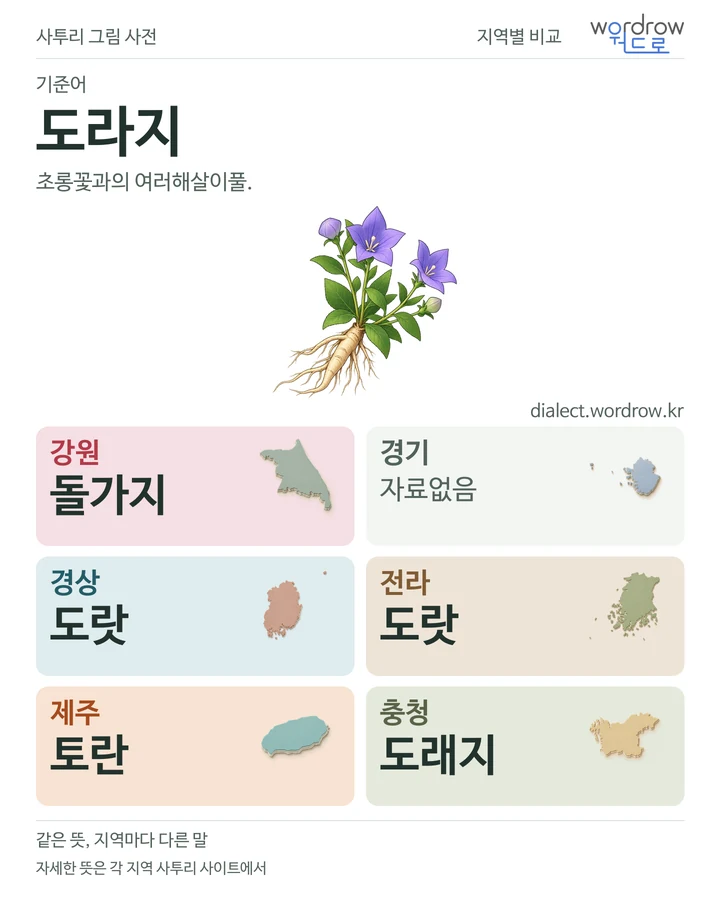 도라지의 여섯 지역 사투리 비교
