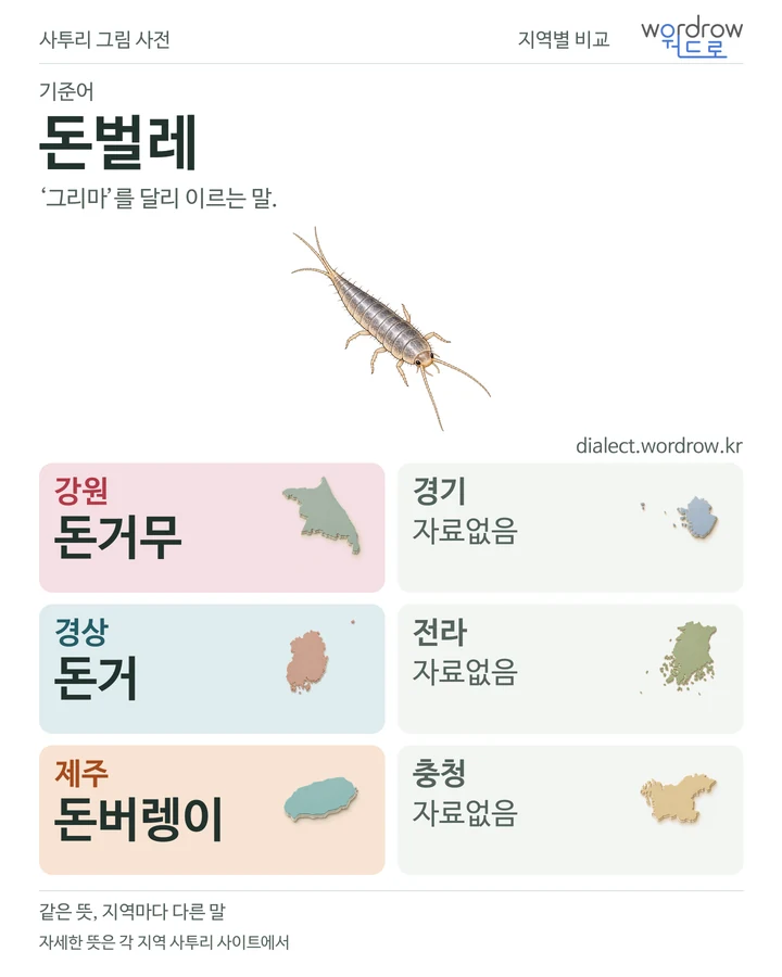 돈벌레의 여섯 지역 사투리 비교