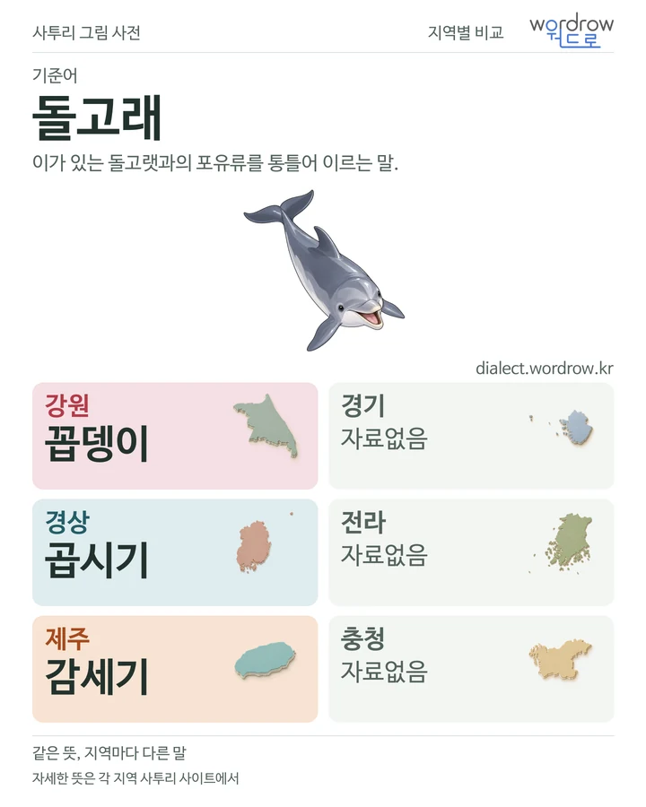 돌고래의 여섯 지역 사투리 비교
