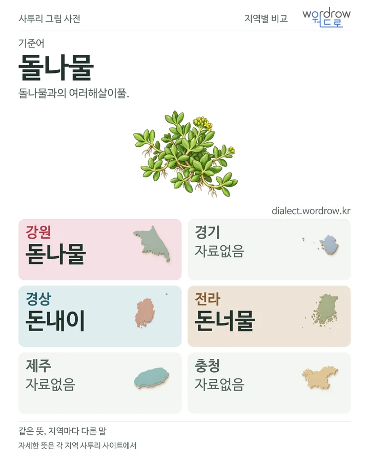 돌나물의 여섯 지역 사투리 비교