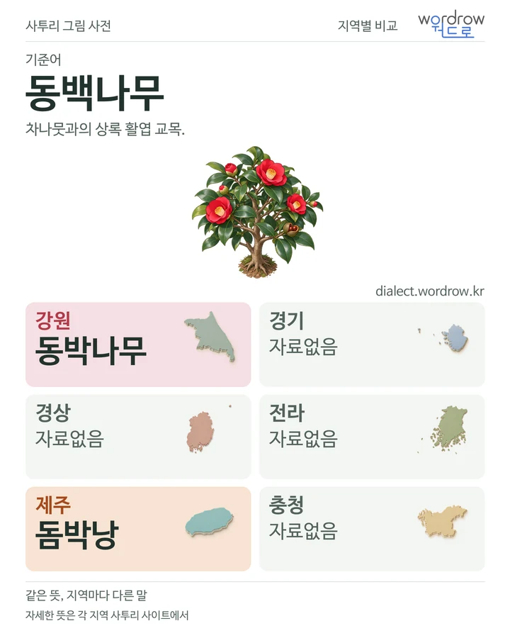 동백나무의 여섯 지역 사투리 비교