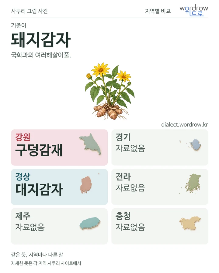돼지감자의 여섯 지역 사투리 비교