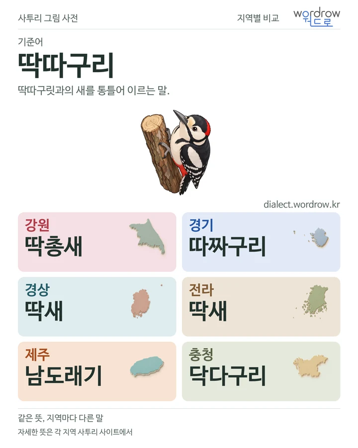 딱따구리의 여섯 지역 사투리 비교