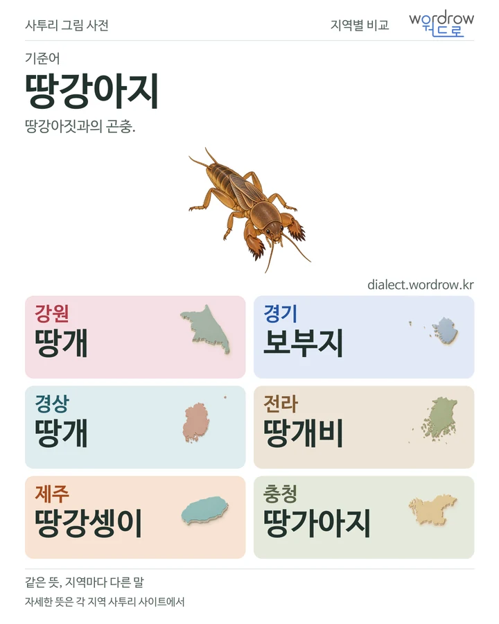 땅강아지의 여섯 지역 사투리 비교