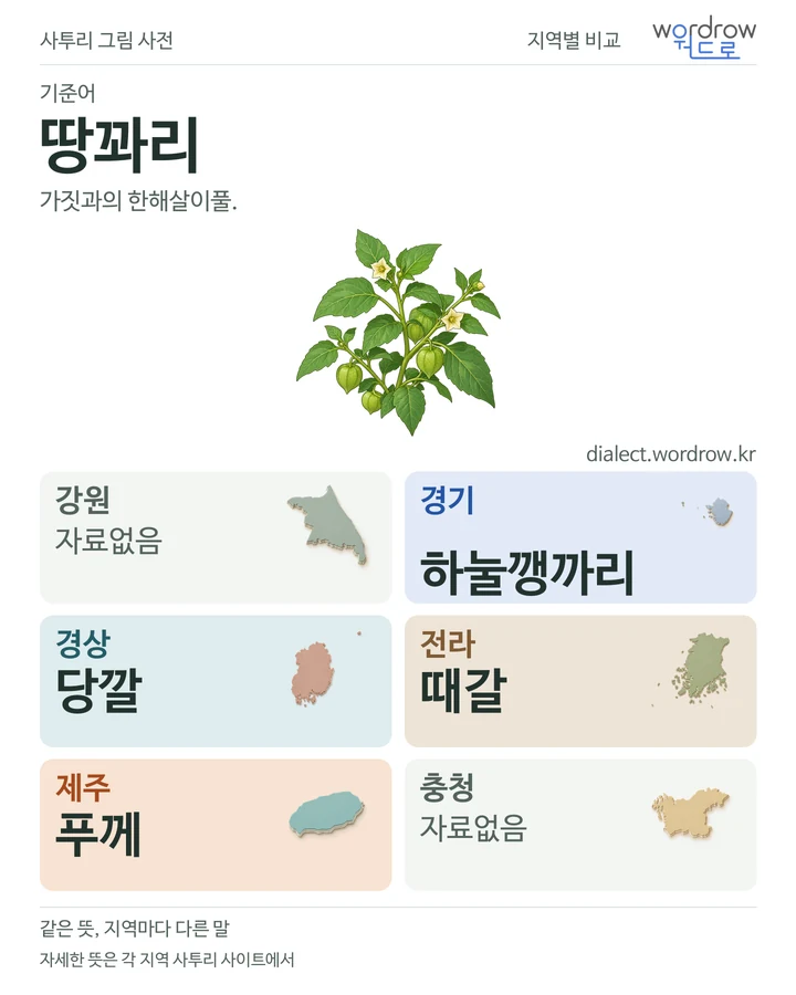 땅꽈리의 여섯 지역 사투리 비교