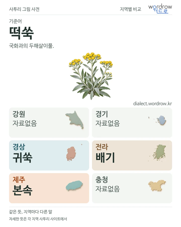 떡쑥의 여섯 지역 사투리 비교