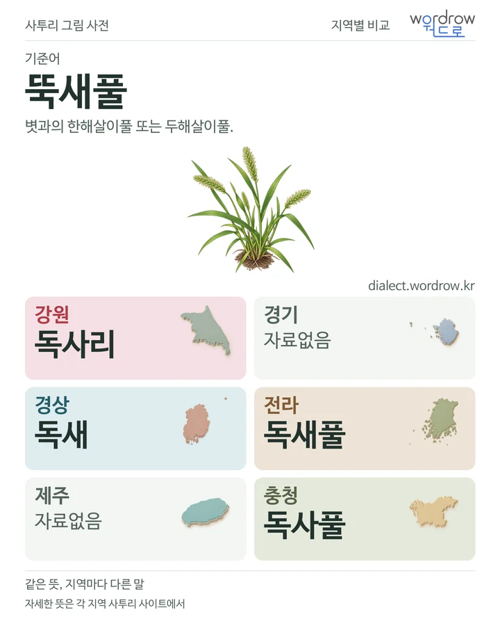 뚝새풀의 여섯 지역 사투리 비교