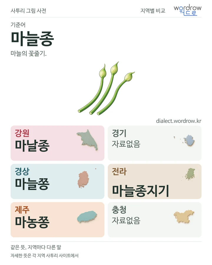 마늘종의 여섯 지역 사투리 비교