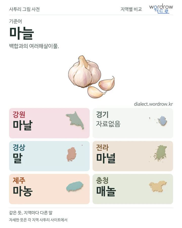 마늘의 여섯 지역 사투리 비교