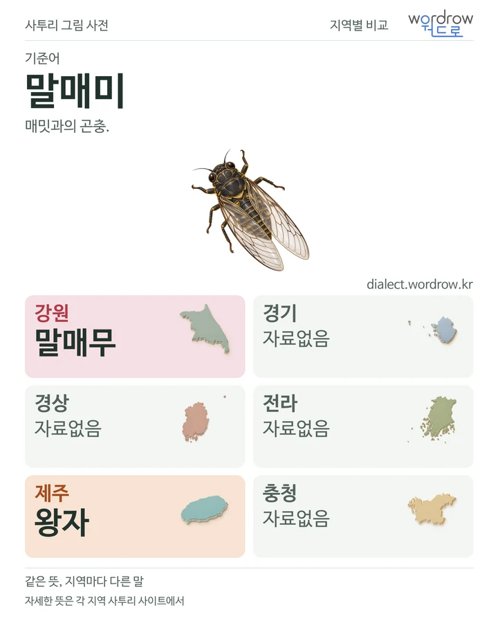 말매미의 여섯 지역 사투리 비교