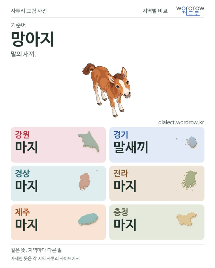 망아지의 여섯 지역 사투리 비교