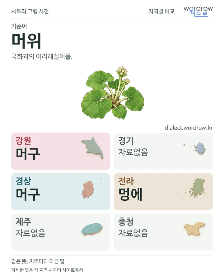 머위의 여섯 지역 사투리 비교