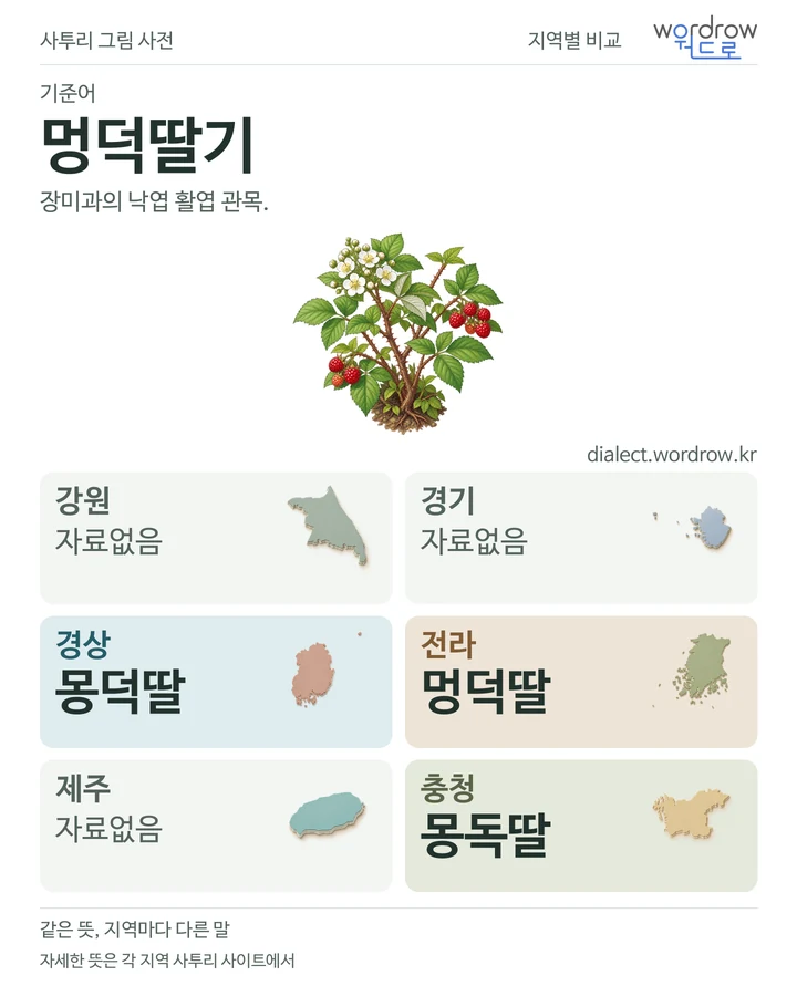 멍덕딸기의 여섯 지역 사투리 비교