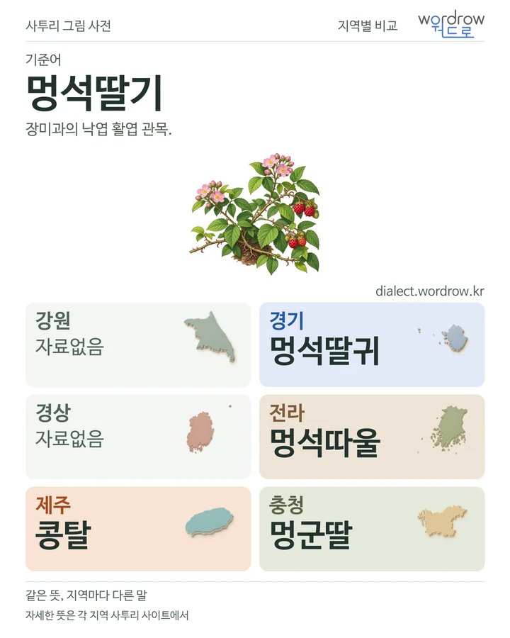 멍석딸기의 여섯 지역 사투리 비교