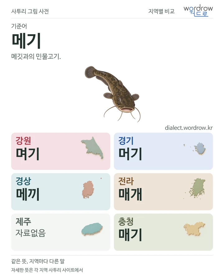 메기의 여섯 지역 사투리 비교
