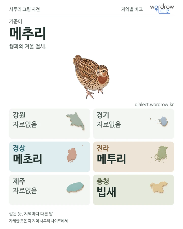 메추리의 여섯 지역 사투리 비교