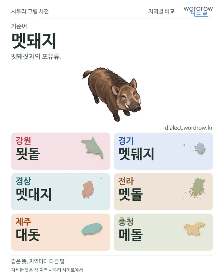 멧돼지의 여섯 지역 사투리 비교