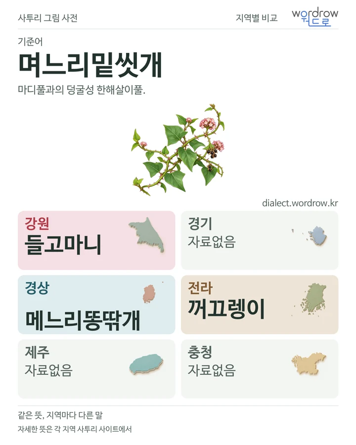 며느리밑씻개의 여섯 지역 사투리 비교