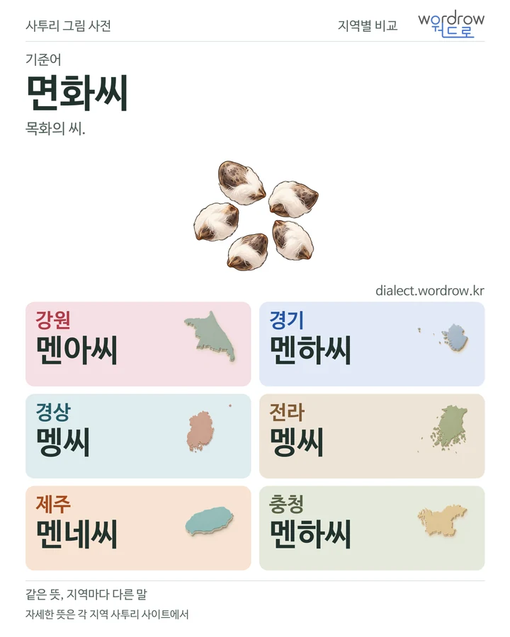 면화씨의 여섯 지역 사투리 비교