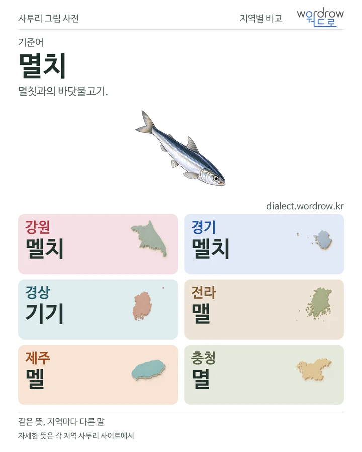 멸치의 여섯 지역 사투리 비교