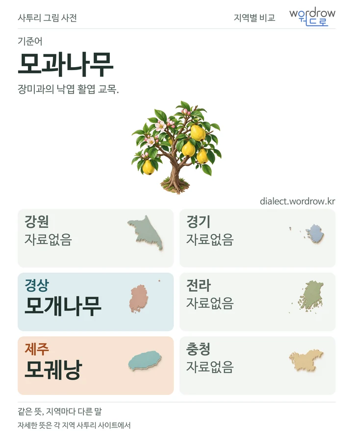 모과나무의 여섯 지역 사투리 비교