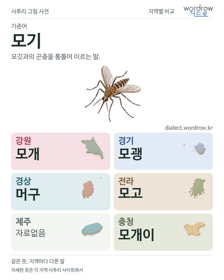 모기의 여섯 지역 사투리 비교