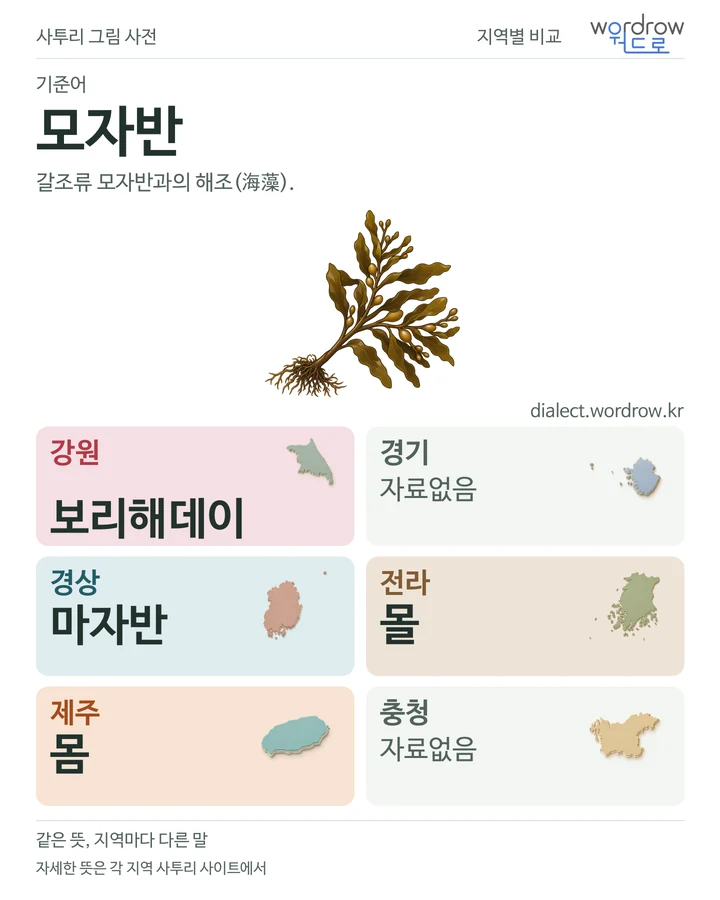 모자반의 여섯 지역 사투리 비교