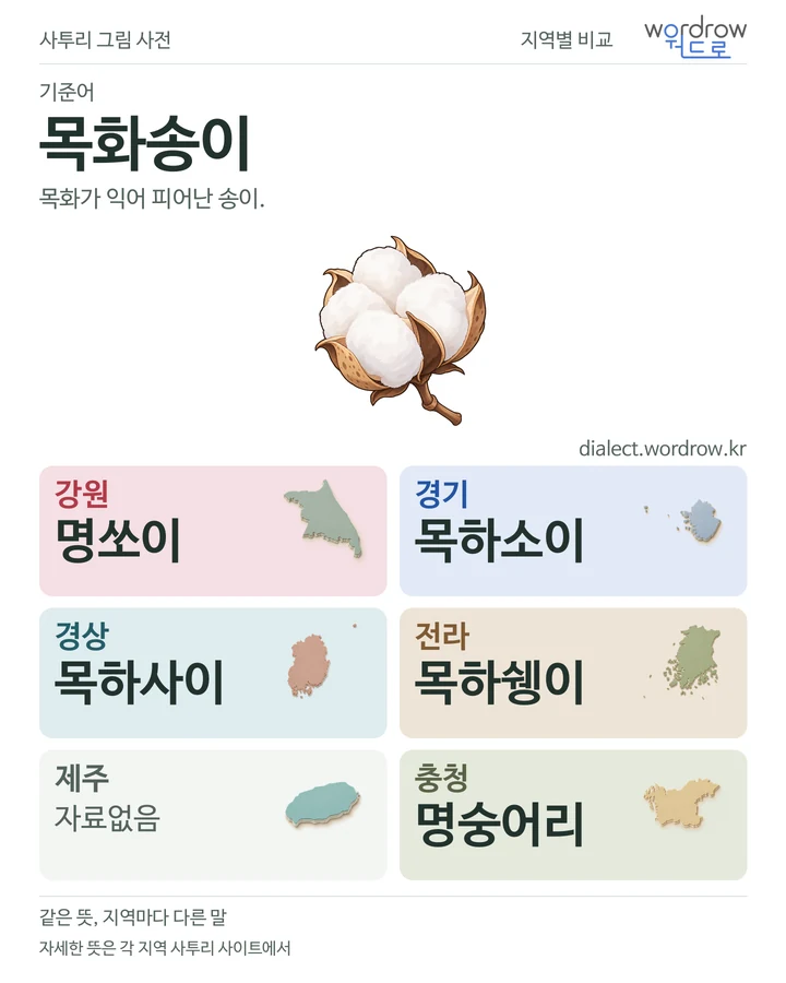 목화송이의 여섯 지역 사투리 비교