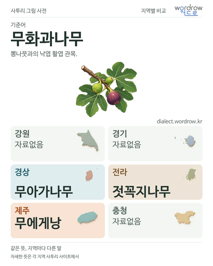 무화과나무의 여섯 지역 사투리 비교
