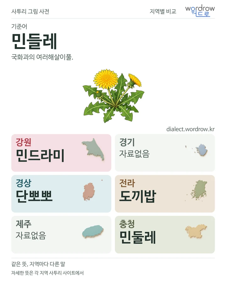 민들레의 여섯 지역 사투리 비교