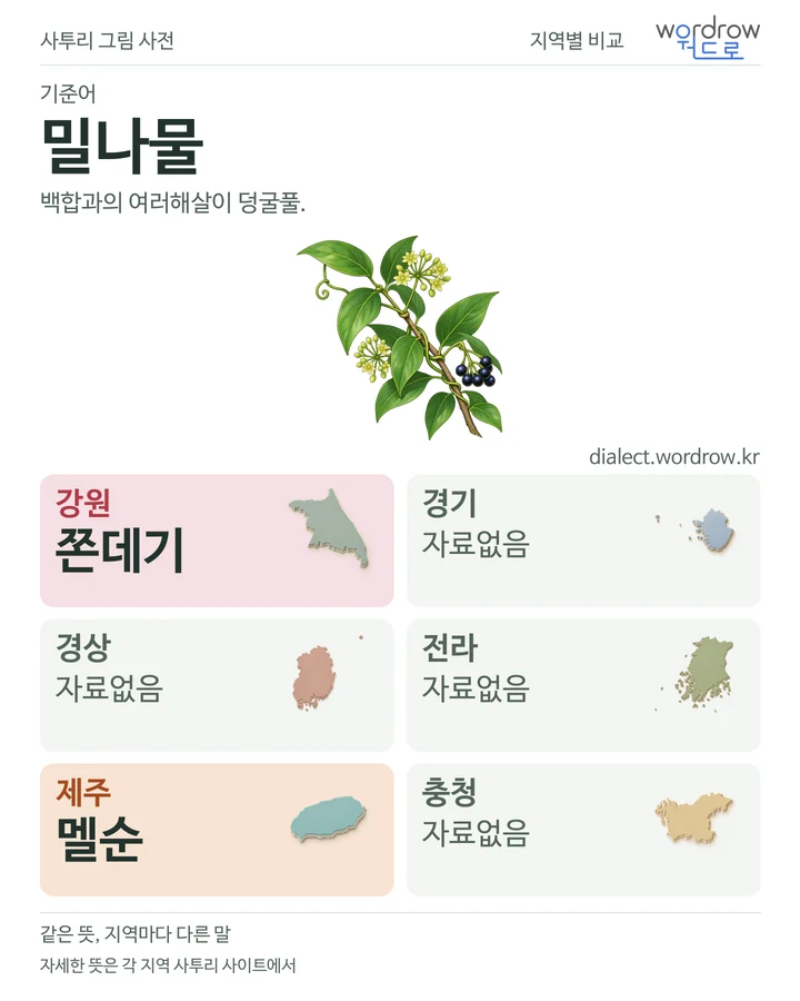 밀나물의 여섯 지역 사투리 비교
