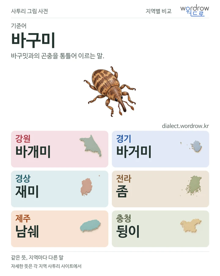 바구미의 여섯 지역 사투리 비교
