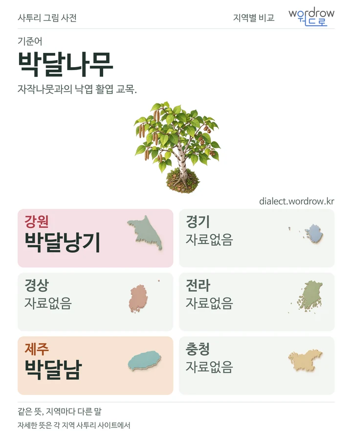 박달나무의 여섯 지역 사투리 비교