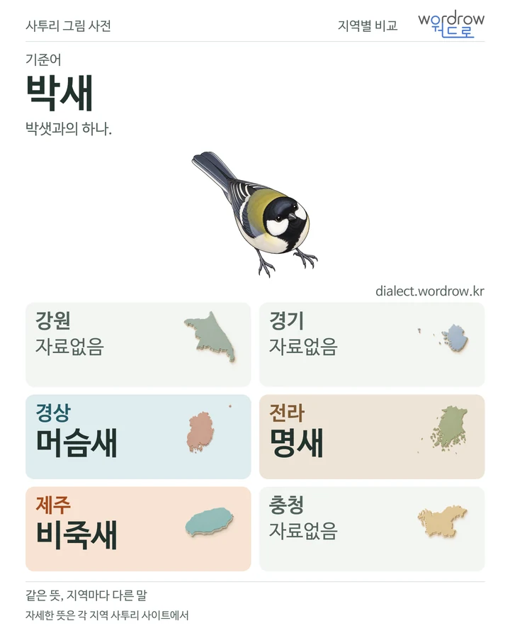 박새의 여섯 지역 사투리 비교
