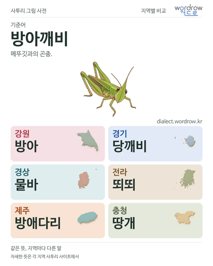 방아깨비의 여섯 지역 사투리 비교